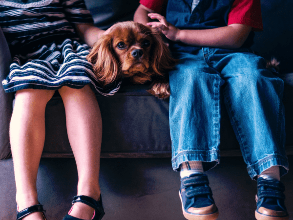 Top College Degrees for Animal Lovers