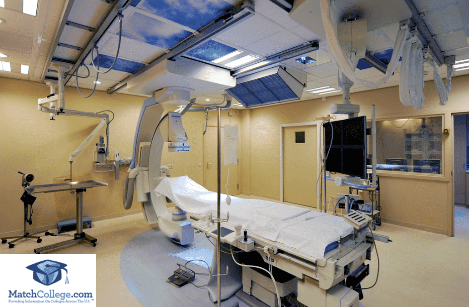 Radiation Therapy College Degree Programs