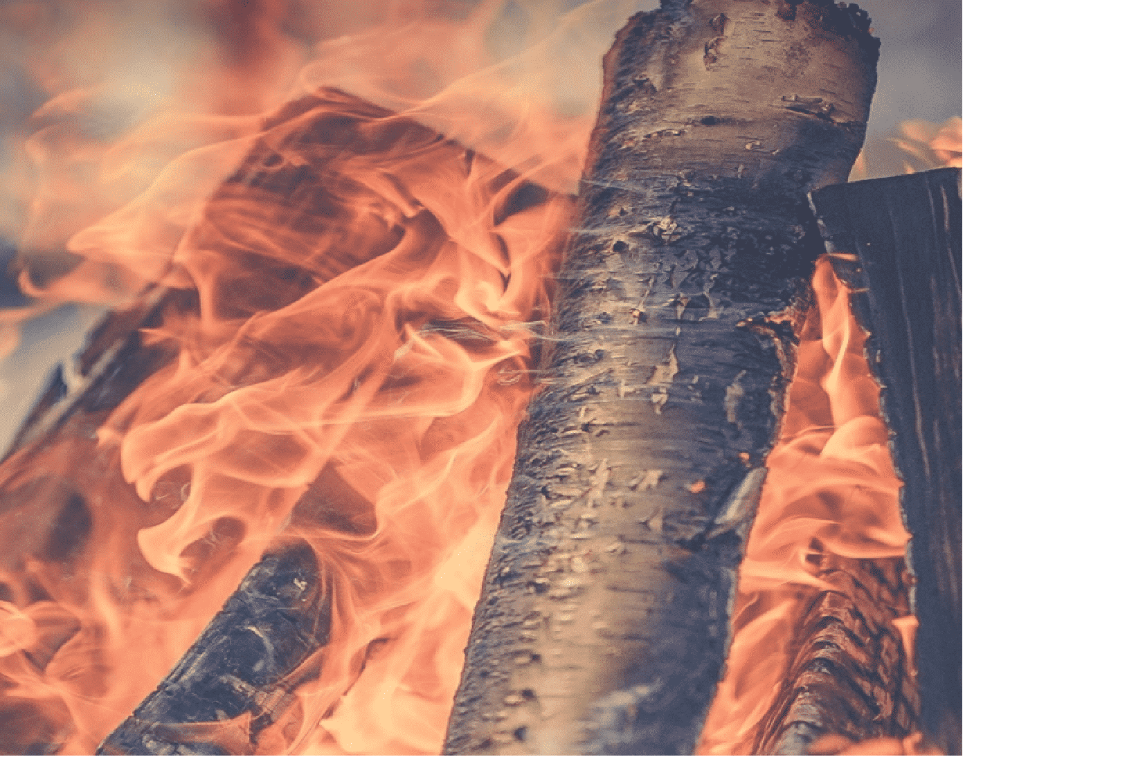 Fire Prevention College Degree Programs