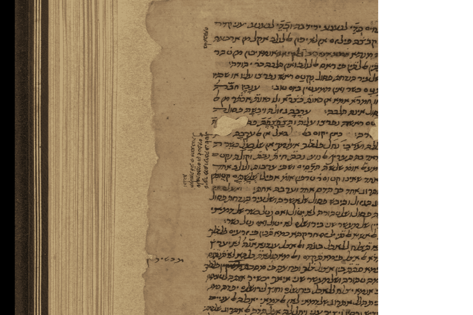 Talmudic Studies College Degree Programs