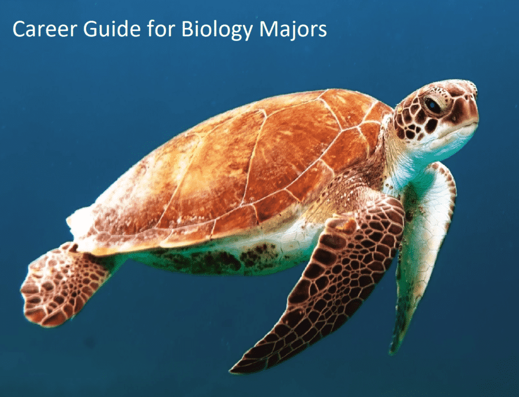 Career Guide in Biology