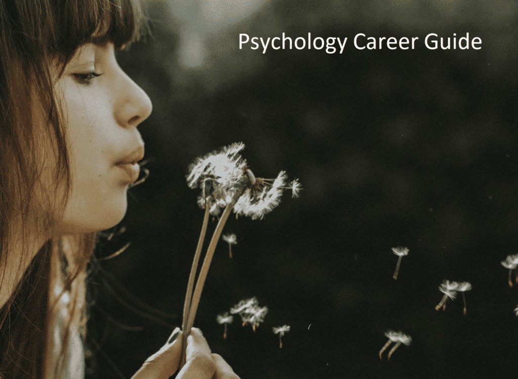 Psychology Career Guide